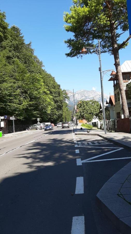 Monik Apartament